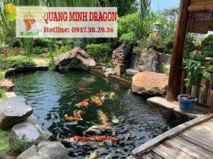 Thiết kế hồ cá koi ngoài trời đẹp nhất ở Hồ Chí Minh